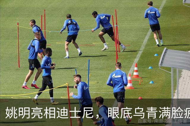 姚明亮相迪士尼，眼底乌青满脸疲惫，一身伤病走路一瘸一拐太沧桑